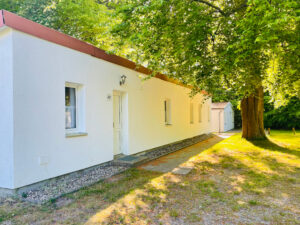 Weißer Bungalow, Sonne und eine große Buche